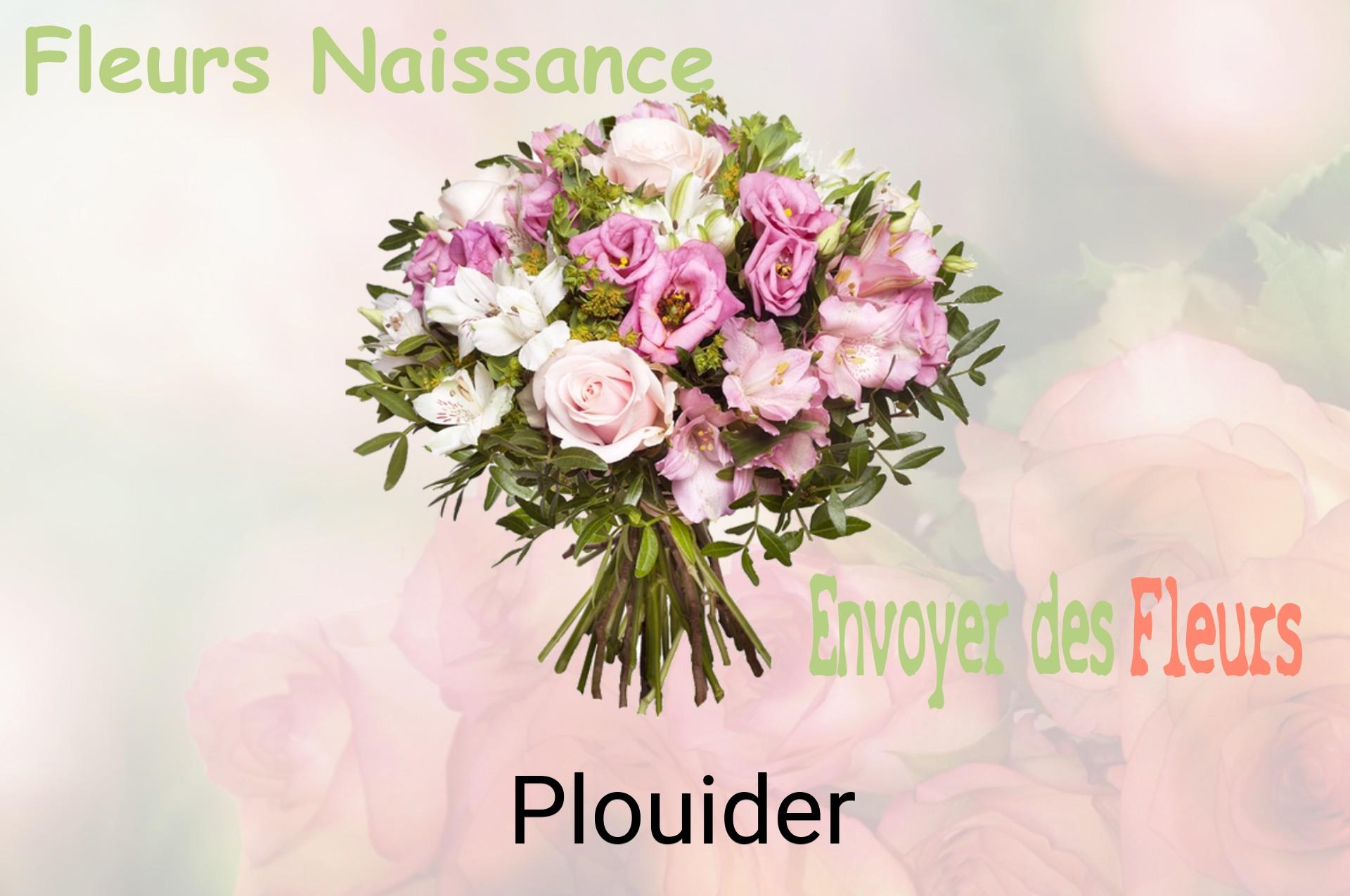 Bouquet de fleurs de naissance livré à Plouider